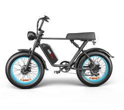 C91 Dual-Drive Electric Bike | 48V 2000W | Fat Tire | Cree8 Peace - Cree8 Peace-E bike_#original_value#-2000W