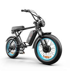 C91 Dual-Drive Electric Bike | 48V 2000W | Fat Tire | Cree8 Peace - Cree8 Peace-E bike_#original_value#-2000W