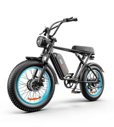 C91 Dual-Drive Electric Bike | 48V 2000W | Fat Tire | Cree8 Peace - Cree8 Peace-E bike_#original_value#-2000W