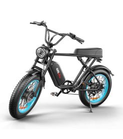 C91 Dual-Drive Electric Bike | 48V 2000W | Fat Tire | Cree8 Peace - Cree8 Peace-E bike_#original_value#-2000W