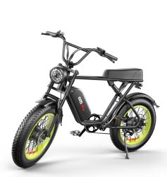 C91 Dual-Drive Electric Bike | 48V 2000W | Fat Tire | Cree8 Peace - Cree8 Peace-E bike_#original_value#-2000W