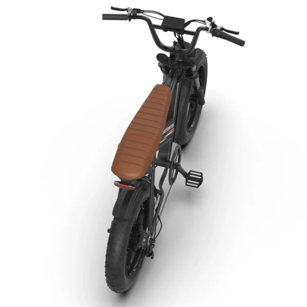 eBike Boys 750W Electric Bike | 28 MPH Fat Tire Cruiser | 48V 13Ah Lithium Battery | Aluminum Frame